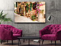 Obraz Kvety na stene zs1125